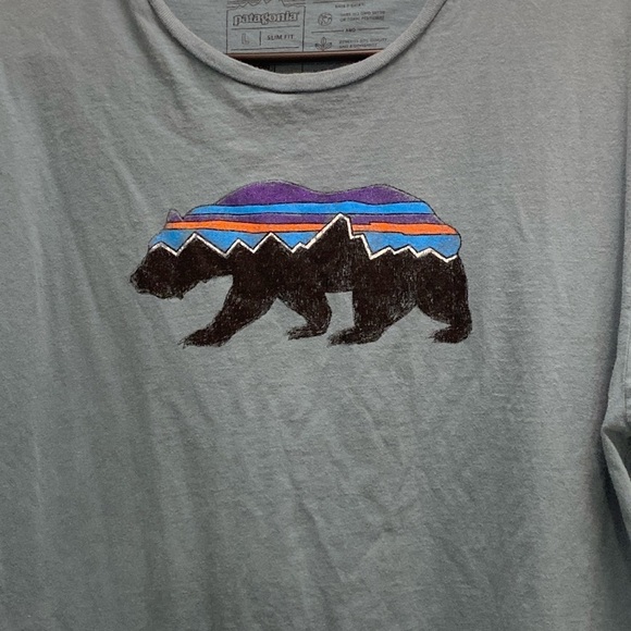 Patagonia Slim Fit Organic Cotton T-Shirt Men’s Size Large Blue L - Picture 3 of 6